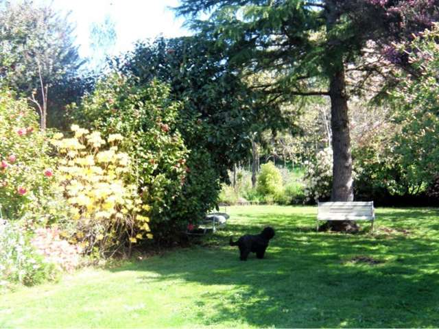 130 Teapot Valley Road Brightwater_3