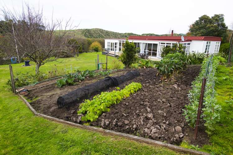2212 Matawai Road Te Karaka_15