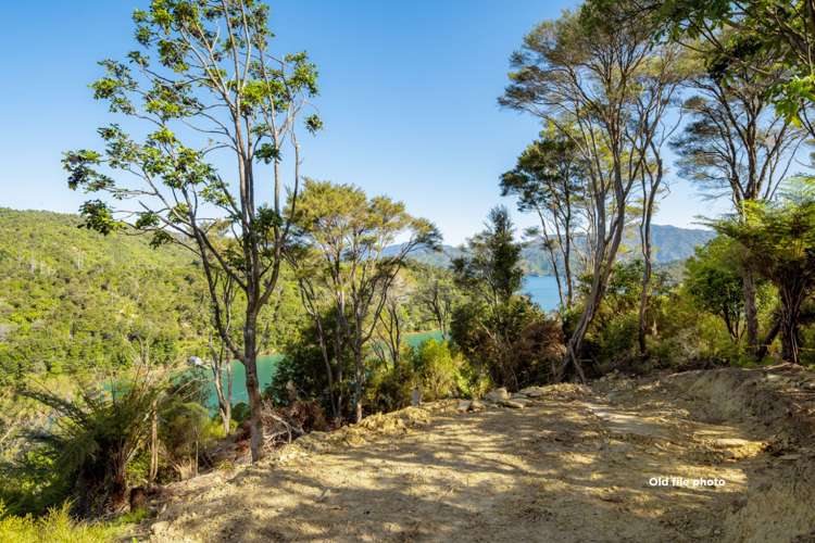 Lot 33 Fence Bay Onahau Bay_12
