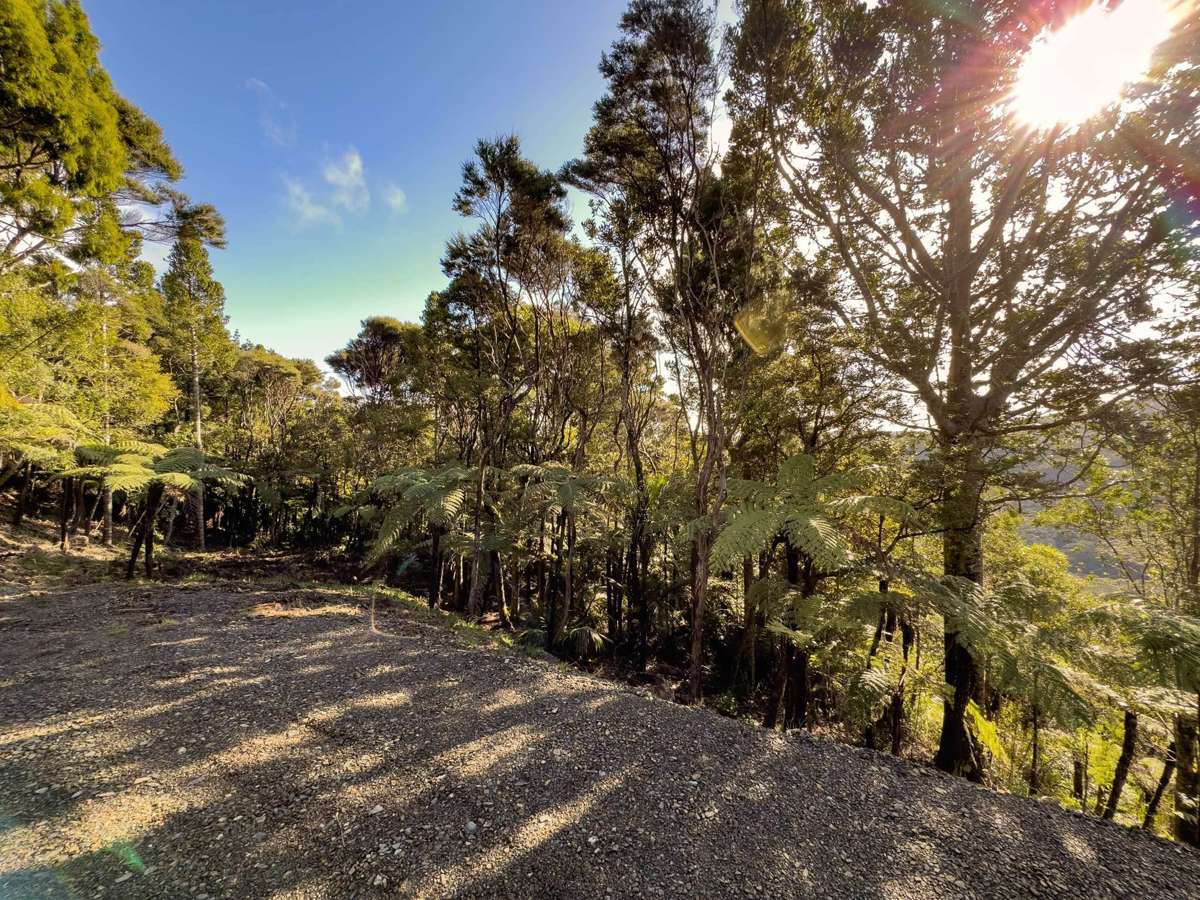 15 Te Aute Ridge Road_5