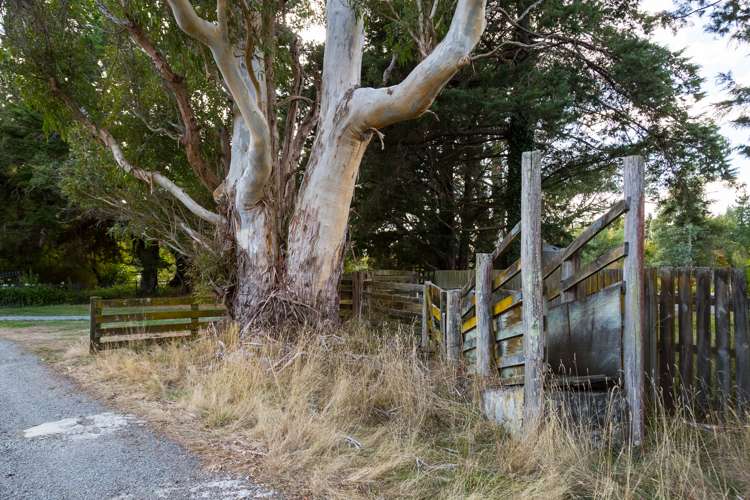 320 Upper Plain Road Upper Plain_19