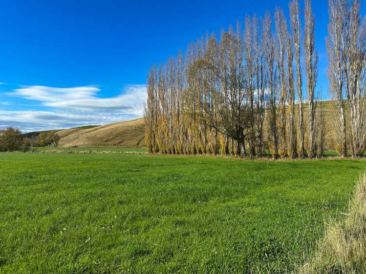 80 McDonald Road Wendonside_12