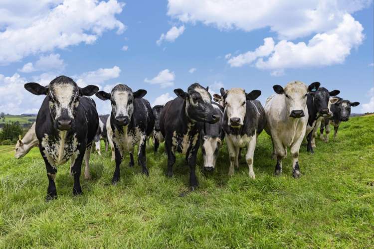 6 Kentucky Road Karapiro_39