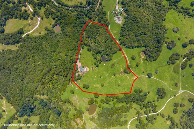 338 Wairere Road Paparoa_3