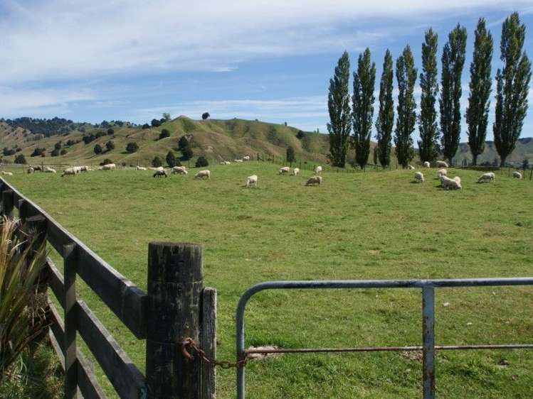 862 Taringamotu Road Taringamotu_4