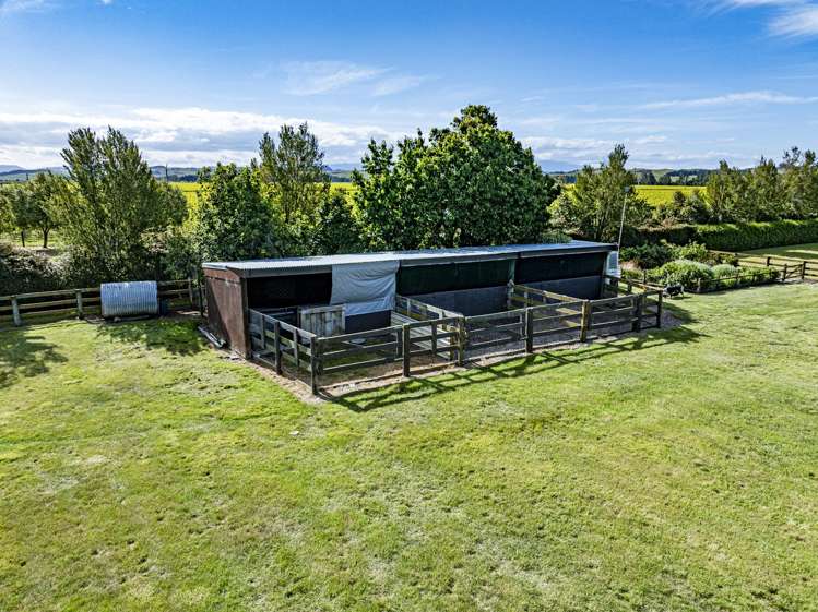 1530 Matapiro Road Crownthorpe_13