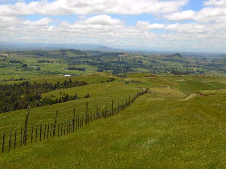 184 Grice Road Wharepuhunga_16