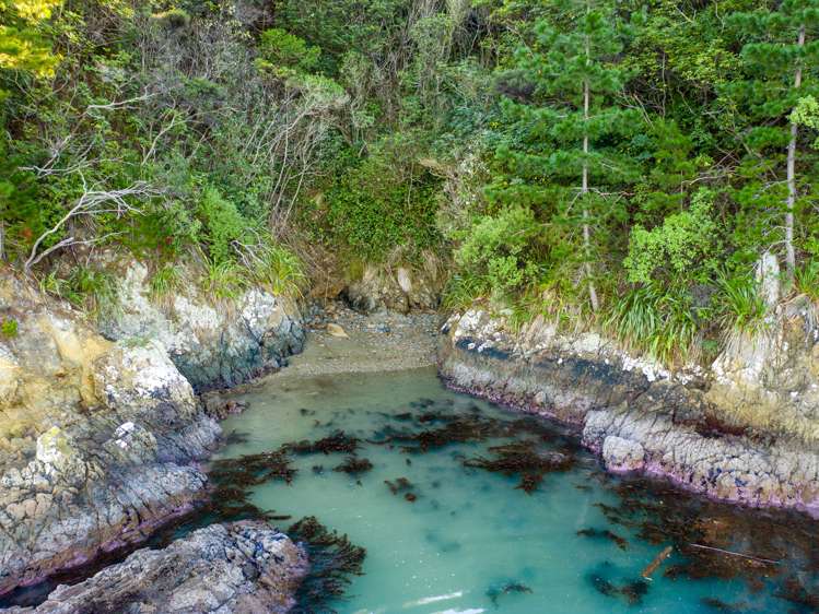 1711 Port Underwood Road Port Underwood_6