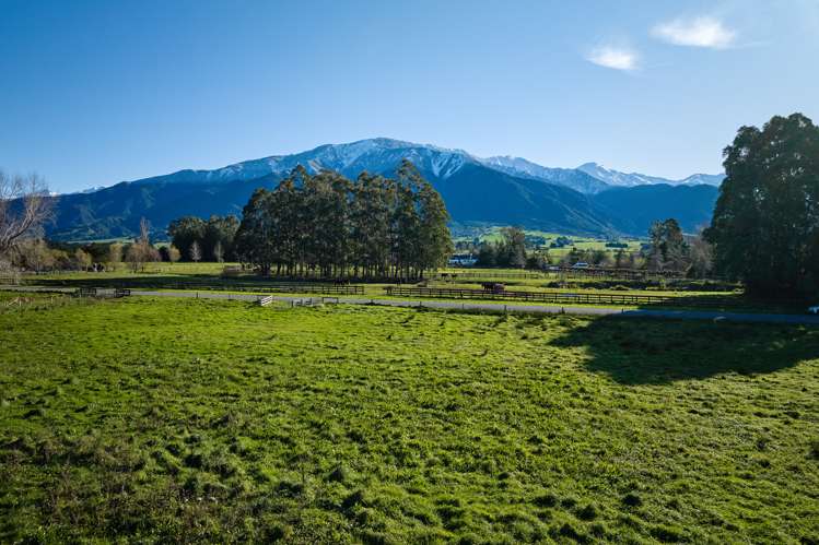 Schoolhouse Road Kaikoura_12