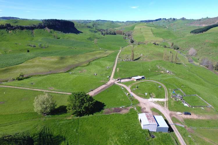 161 Veale Road Otorohanga_33