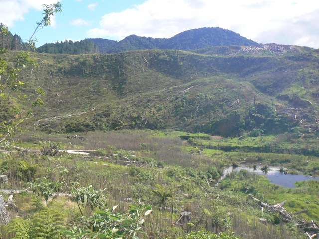 Lot 27 Iwitaua Road Mangamuka_3