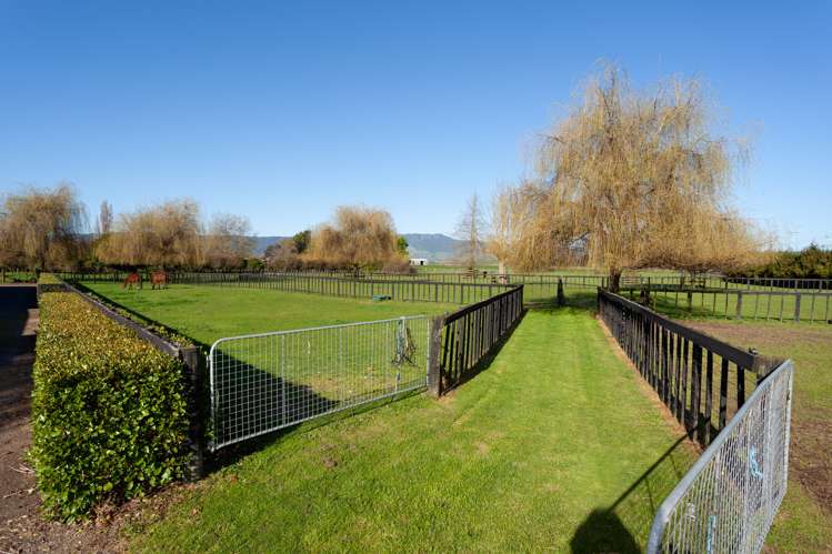 78 Tower Road Matamata_3