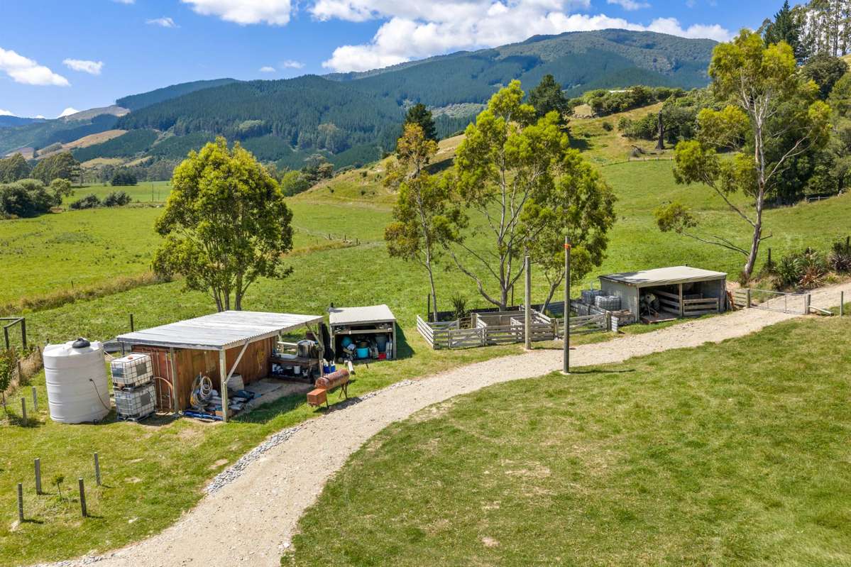 1118 Queen Charlotte Drive_2