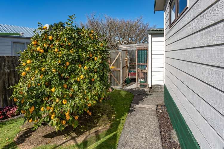 151b Mayfair Avenue Whangamata_18