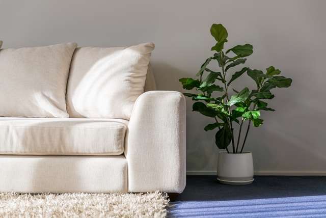 40B Miro Street Mount Maunganui_4