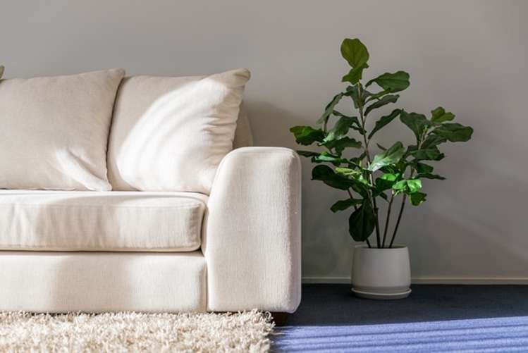 40B Miro Street Mount Maunganui_4