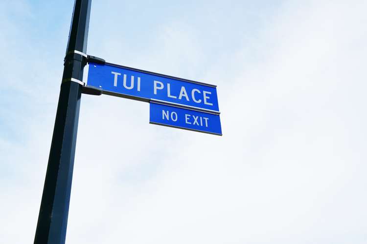 7 Tui Place Edendale_12