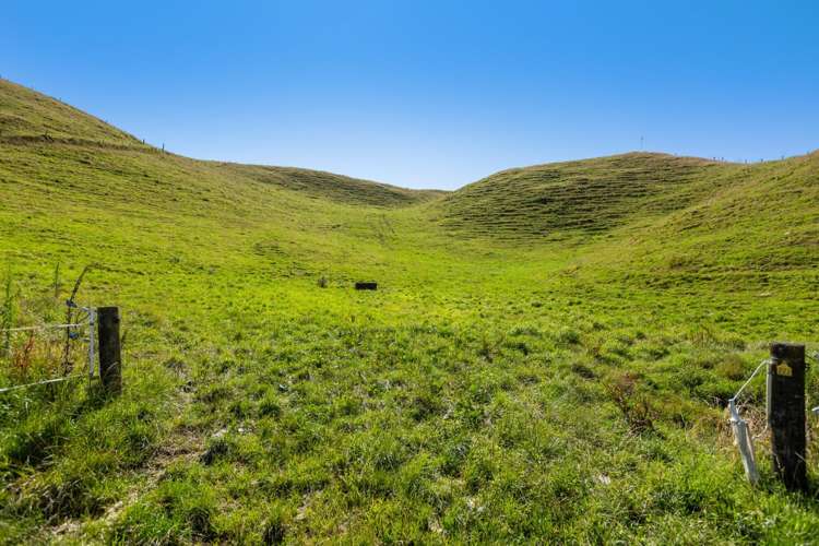 860 Egmont Road Hillsborough_14