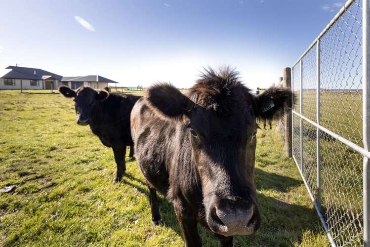 378 Jones Road Grovetown_29