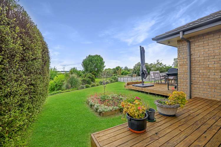 158b Daphne Street Te Awamutu_14