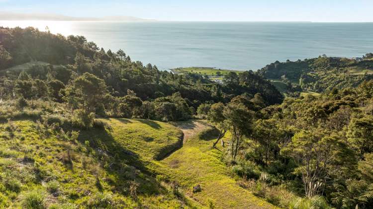 98 Tapu Rise Heights Thames_6