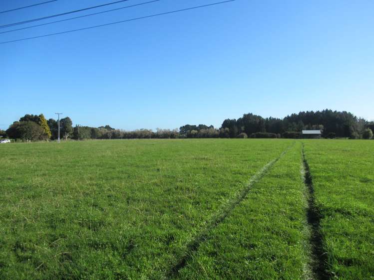 69 Avenue North Road Levin_0