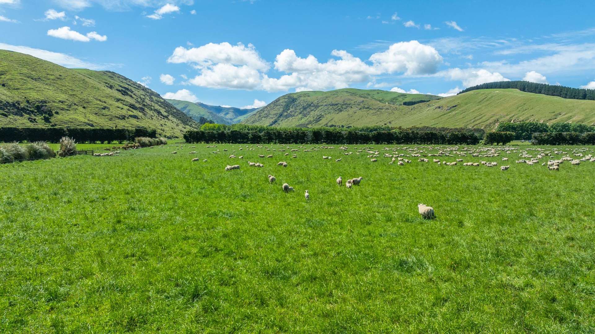 2726 Christchurch Akaroa Road Ataahua_0