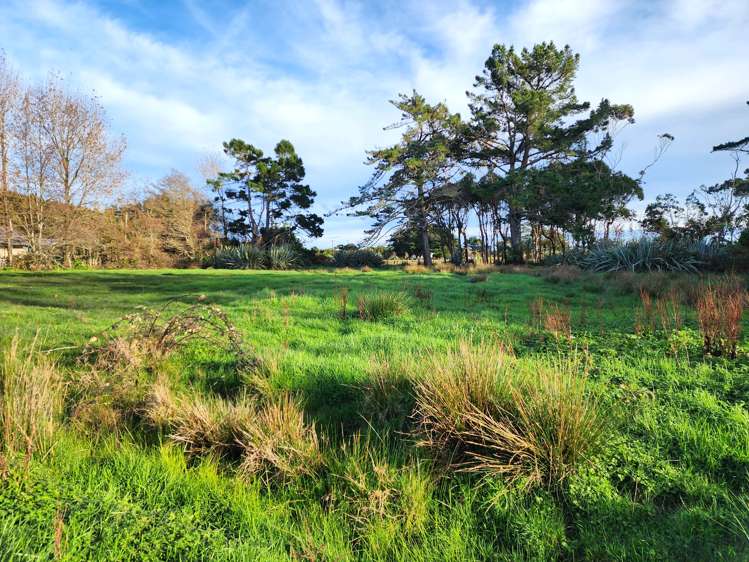 Pandora Avenue Camerons_6