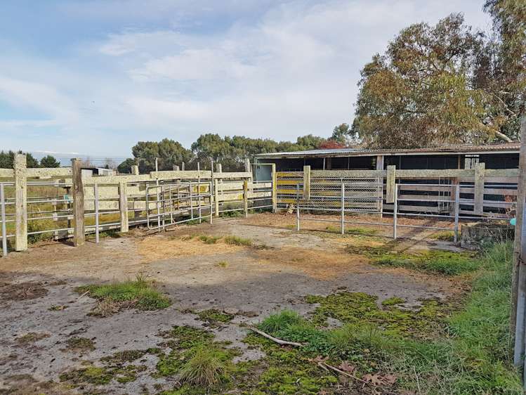 221 Troup Road Woodville_3