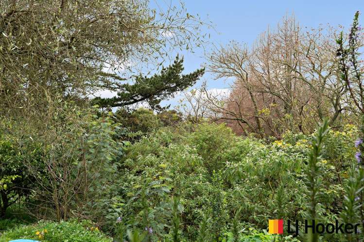 263 Tuakau Road Pukekohe_13