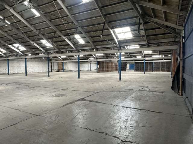 58 Sturdee Street City Centre Dunedin_3