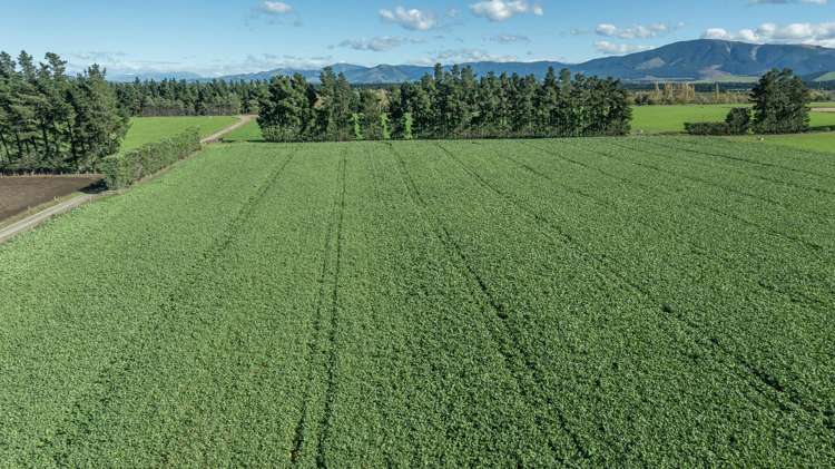 375 Stonyflat Road Loburn_6