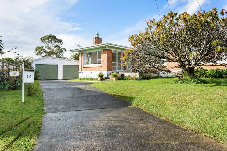 12 Mcdonald Road Papatoetoe_6