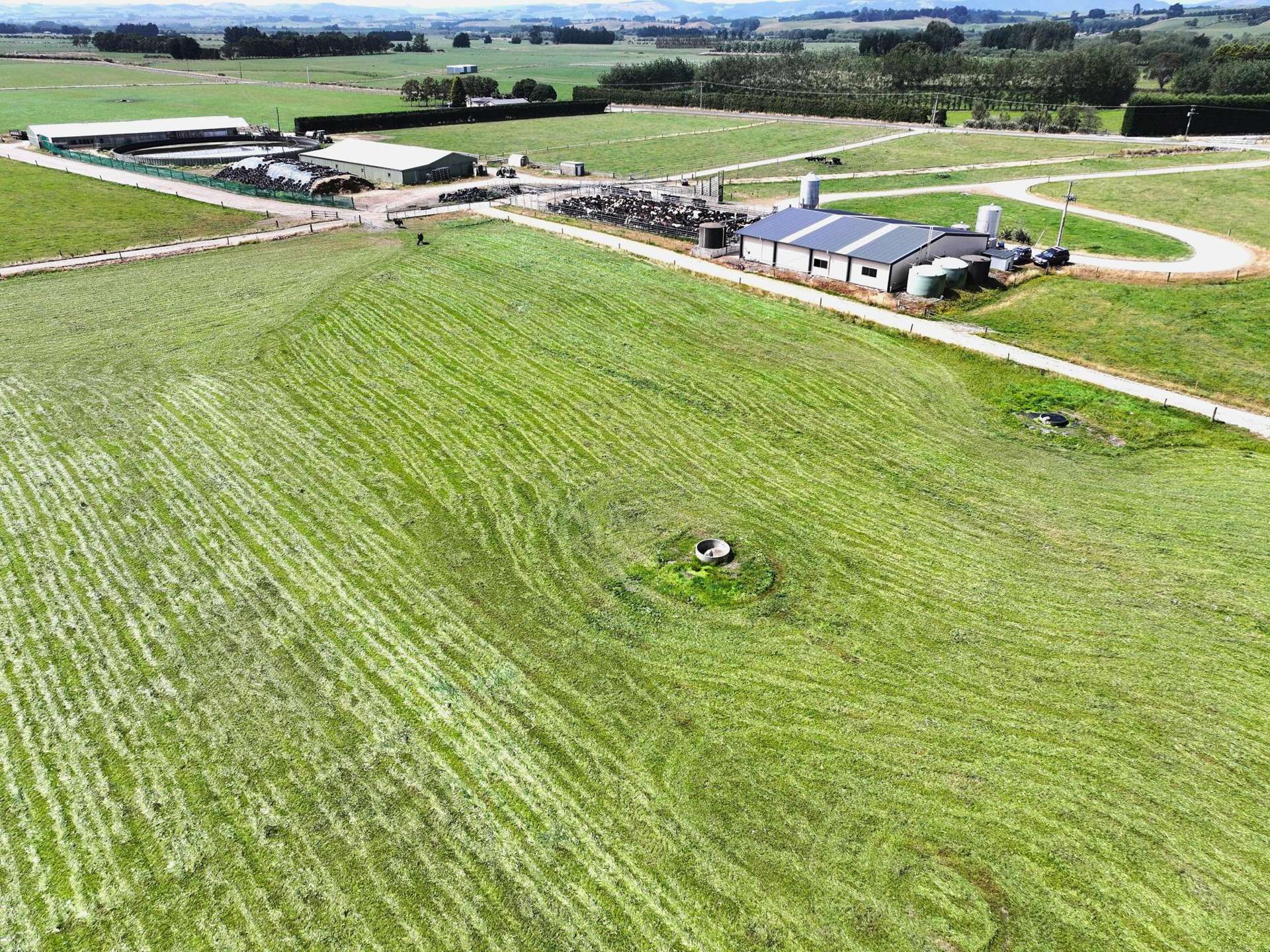 520 Island Edendale Road Menzies Ferry_0