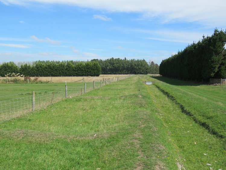 29 Mitcham Road Allenton_25