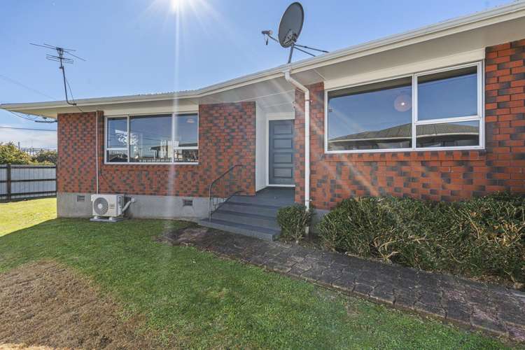 12 Saxton Road Upper Vogeltown_21