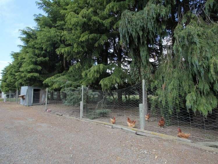 87 Wakanui School Road Wakanui_23