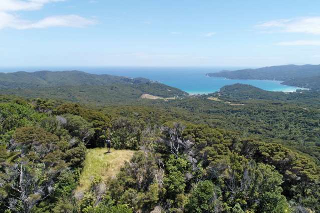 248 Rosalie Bay Road Great Barrier Island_1