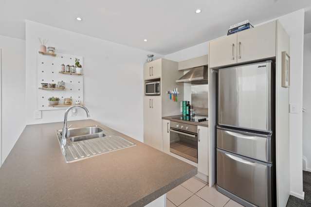 28a Hastings Street West Sydenham_4