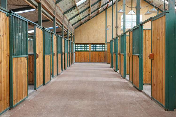 136 Wells Road Okoroire_9