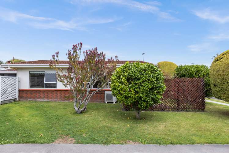 48 Salisbury Avenue Tamatea_15