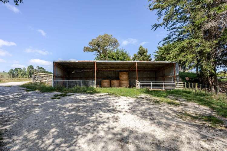 205 Ngawaka Road Flemington_14