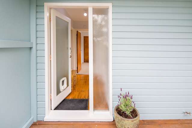 1/3a Baden Road Hataitai_3