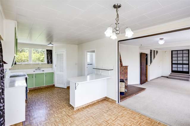 56 Jervois Road Jervoistown_4