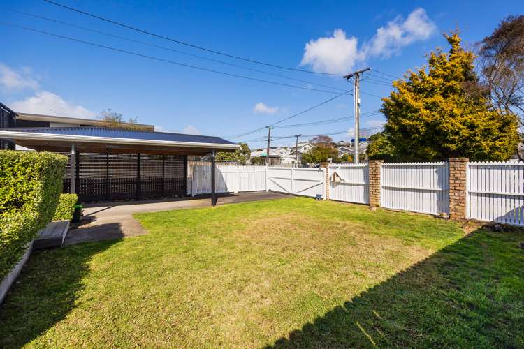 18 Hardley Avenue Mount Roskill_18