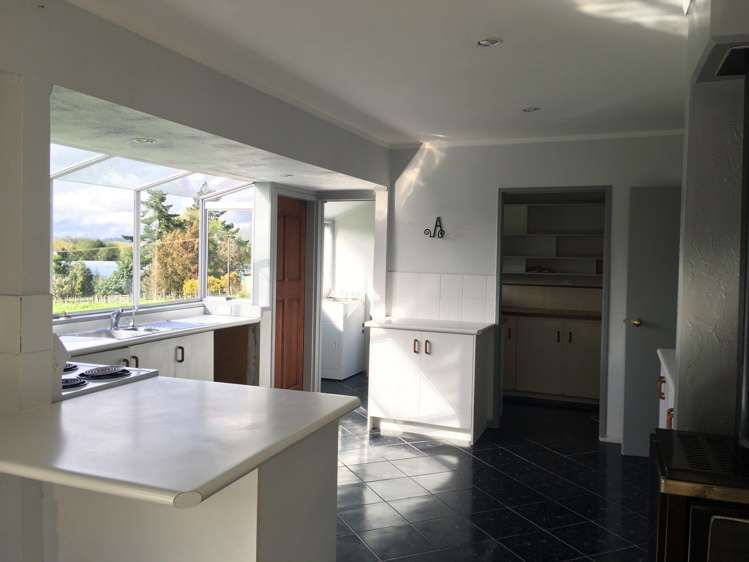 349 Postman Road Dairy Flat_5