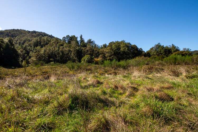 555 Upper Buller Gorge Road_4
