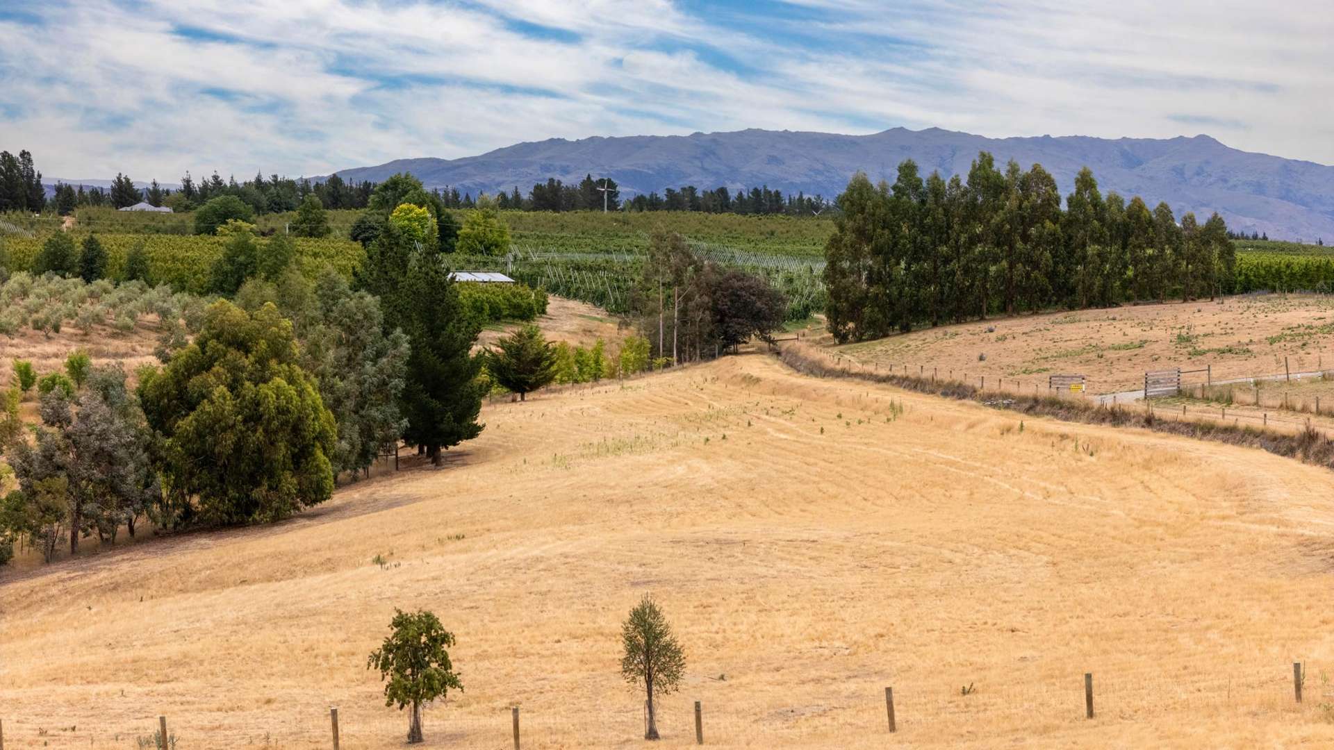 Lot Lot 3 and 4 Ferris Road Alexandra_0