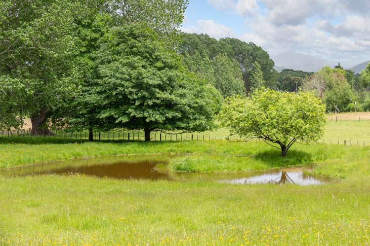 111 Knight Road Kopuaranga_14