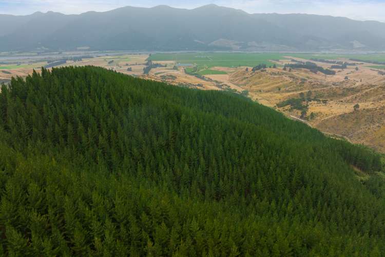 State Highway 63 Renwick_2